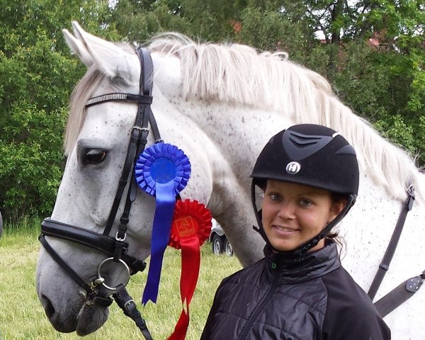 horse Cafone (Holsteiner, 2006, from Cesano II)