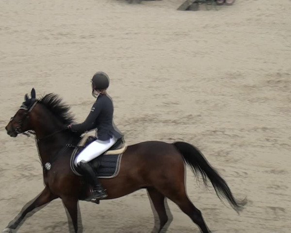 Reitturnier Monheim - Gut Blee 2021