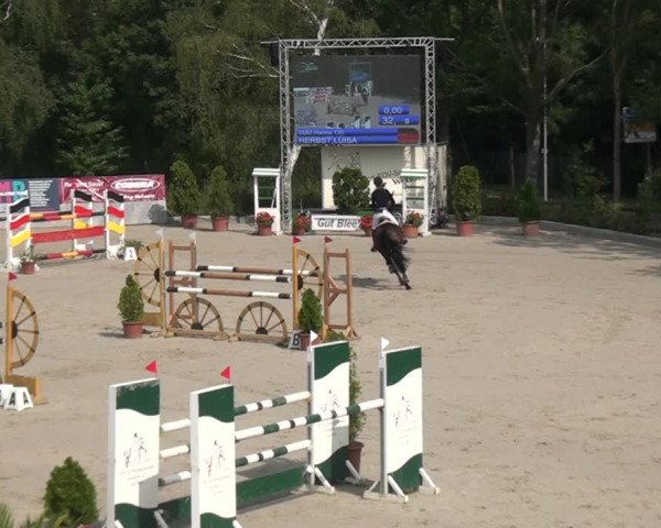 Reitturnier Monheim - Gut Blee 2021