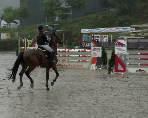 Reitturnier Siegen 2021