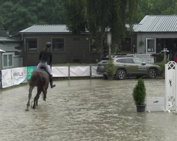 Reitturnier Siegen 2021