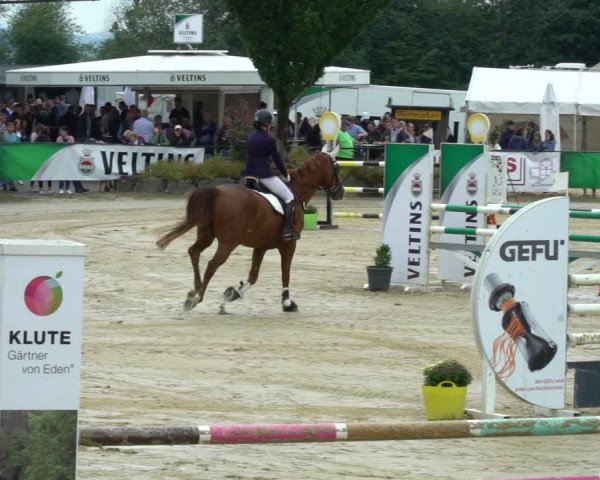 Reitturnier Hellefeld 2021