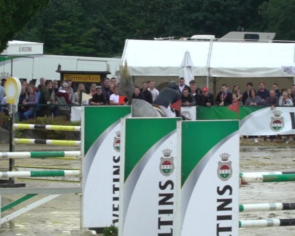 Reitturnier Hellefeld 2021