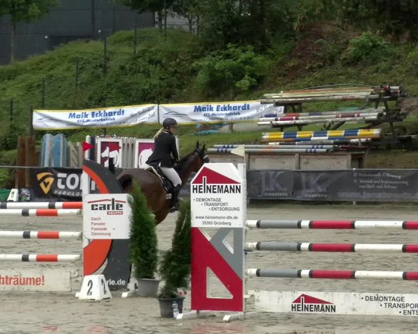 Reitturnier Siegen 2021