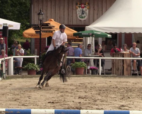Reitturnier Werne 2021