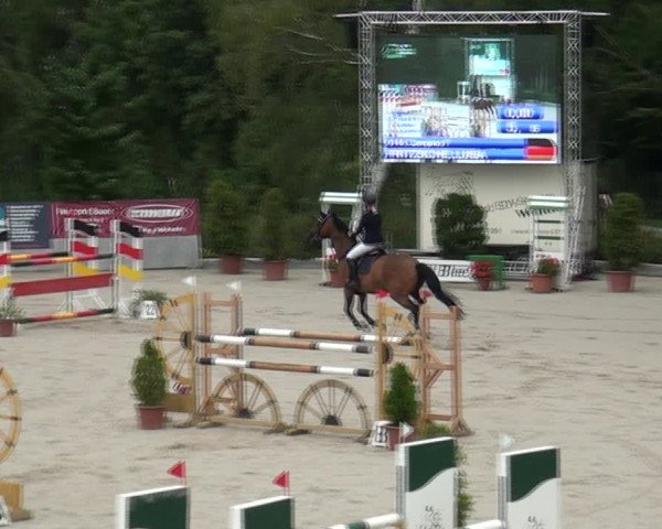 Reitturnier Monheim - Gut Blee 2021