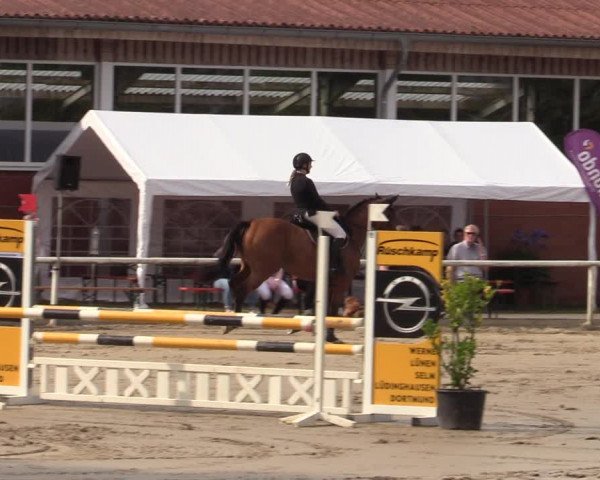 Reitturnier Werne 2021