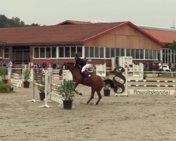 Reitturnier Werne 2021