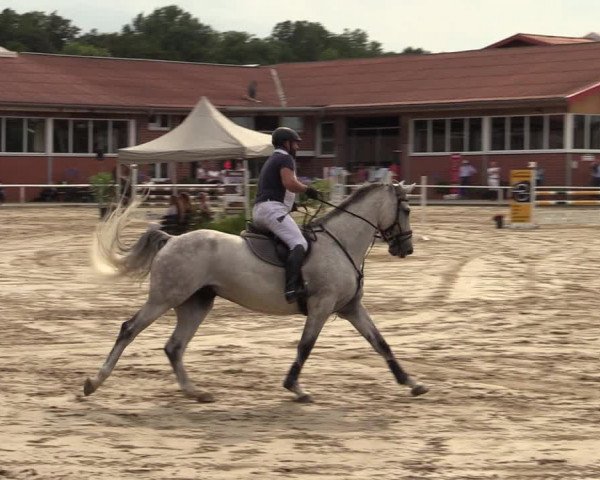 Reitturnier Werne 2021