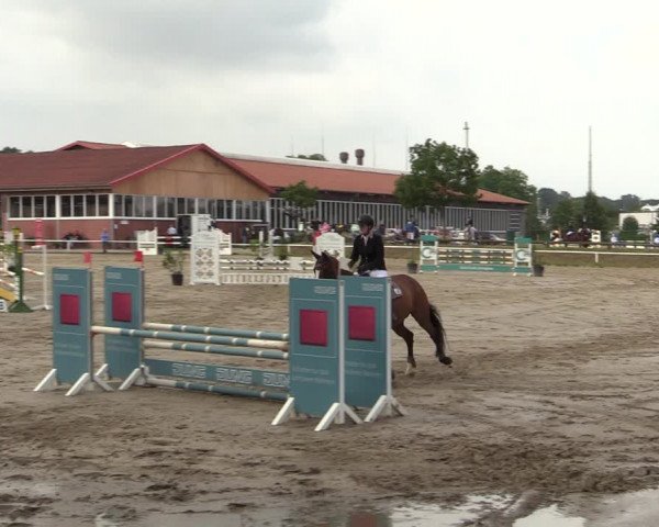 Reitturnier Werne 2021
