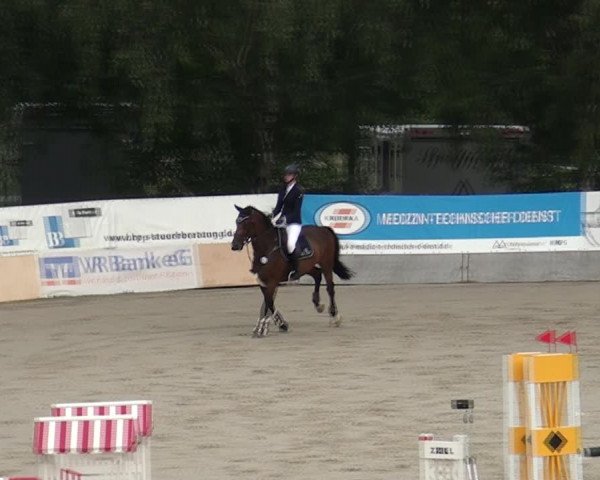 Reitturnier Monheim - Gut Blee 2021