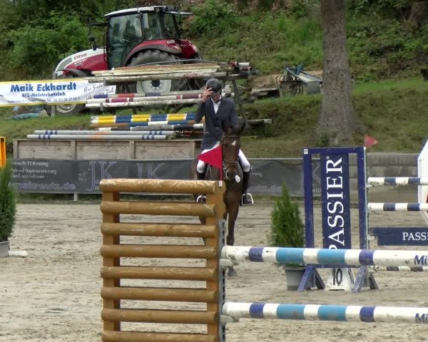 Reitturnier Siegen 2021