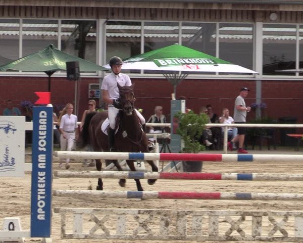 Reitturnier Werne 2021