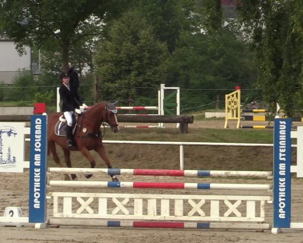 Reitturnier Werne 2021