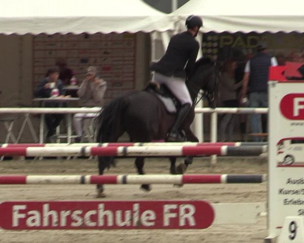 Reitturnier Werne 2021