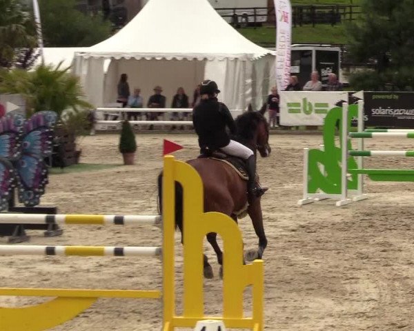 Reitturnier Schnarup-Thumby 2021
