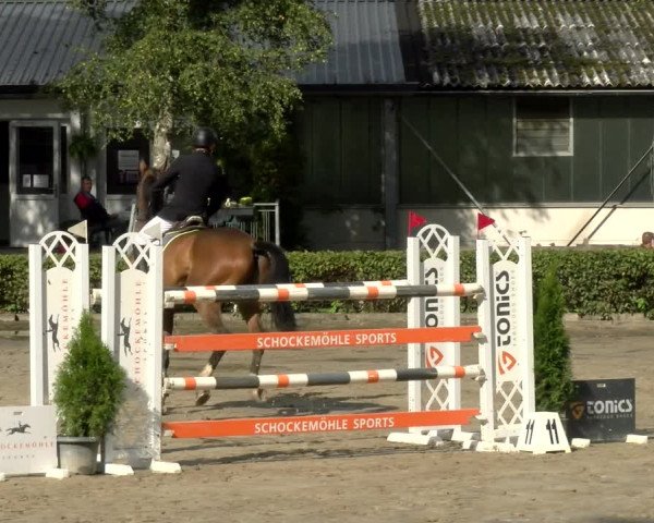 Reitturnier Siegen 2021