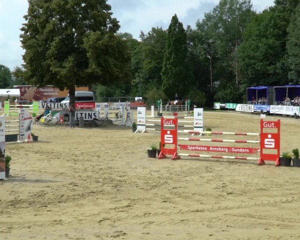 Reitturnier Hellefeld 2021