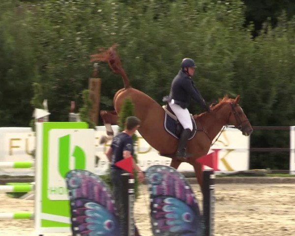 Reitturnier Schnarup-Thumby 2021