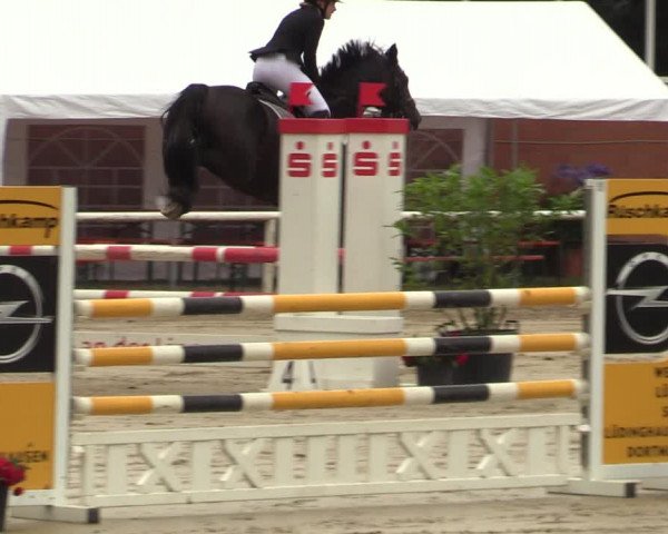 Reitturnier Werne 2021