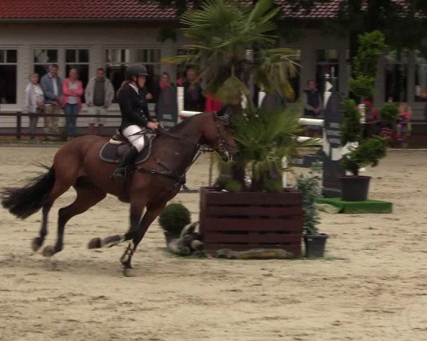 Reitturnier Schnarup-Thumby 2021