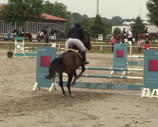 Reitturnier Werne 2021