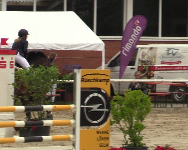 Reitturnier Werne 2021