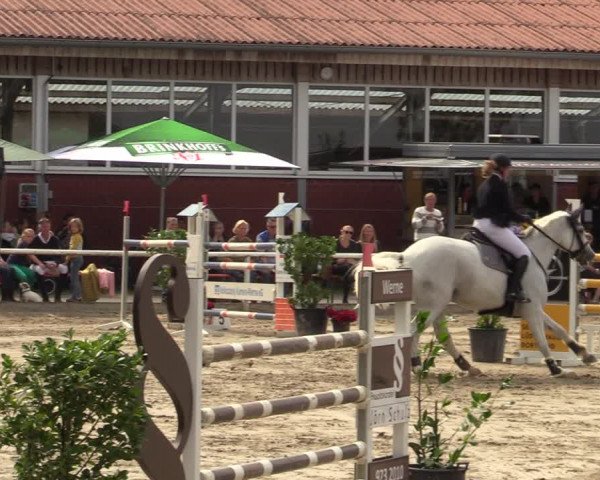 Reitturnier Werne 2021