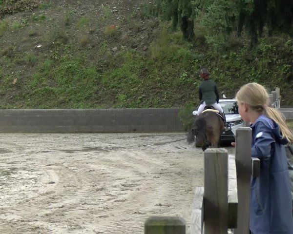 Reitturnier Siegen 2021