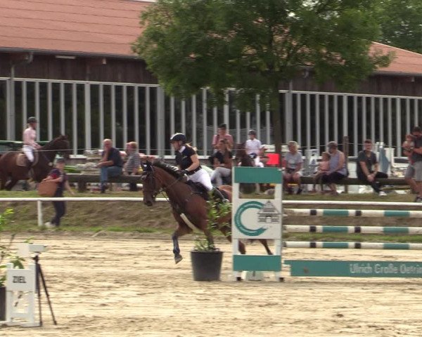 Reitturnier Werne 2021