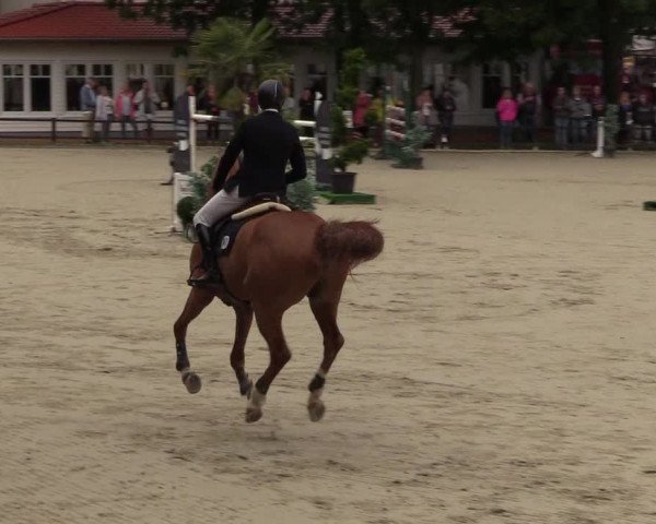 Reitturnier Schnarup-Thumby 2021