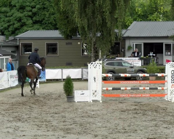 Reitturnier Siegen 2021