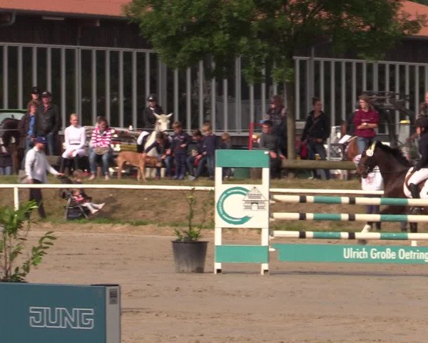 Reitturnier Werne 2021