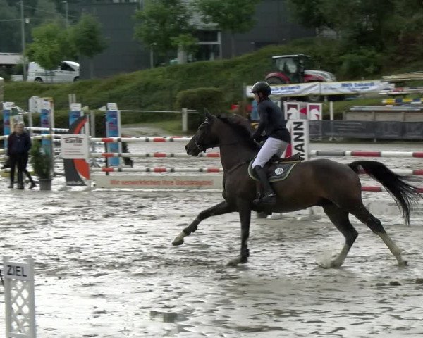Reitturnier Siegen 2021
