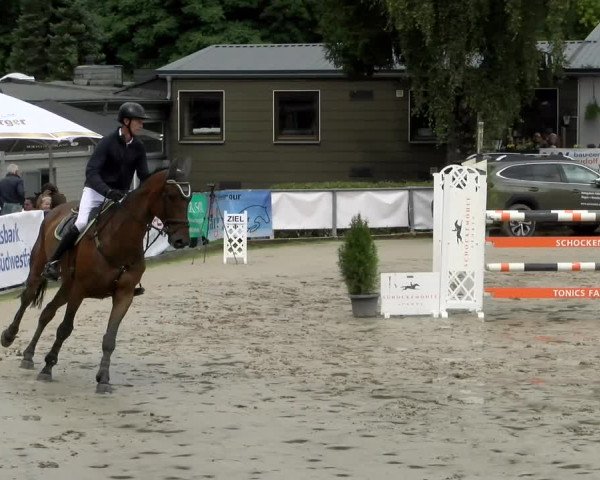 Reitturnier Siegen 2021