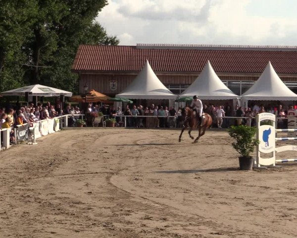 Reitturnier Werne 2021