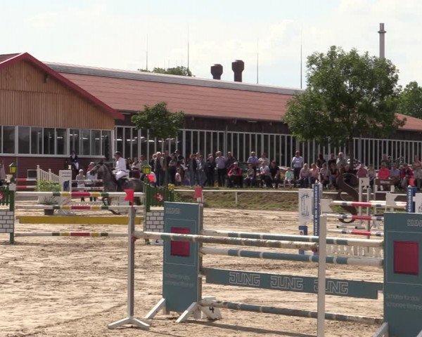 Reitturnier Werne 2021