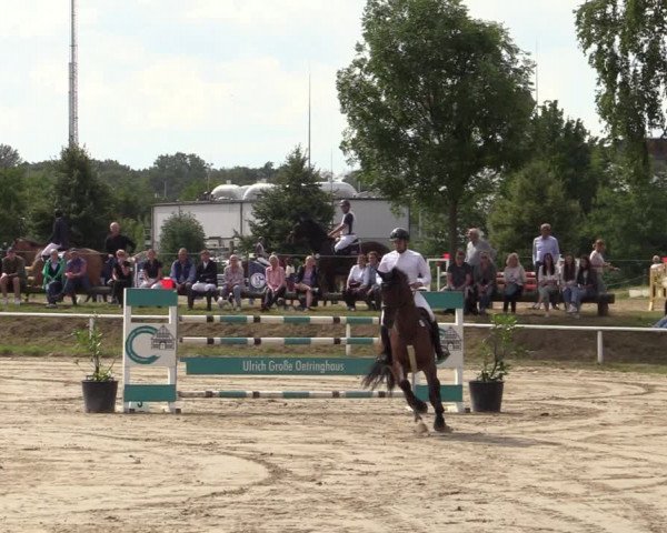 Reitturnier Werne 2021