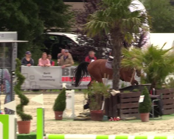 Reitturnier Schnarup-Thumby 2021