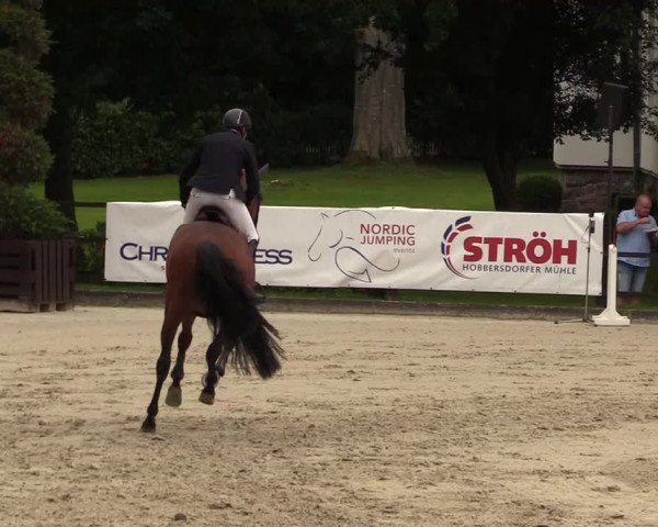 Reitturnier Schnarup-Thumby 2021