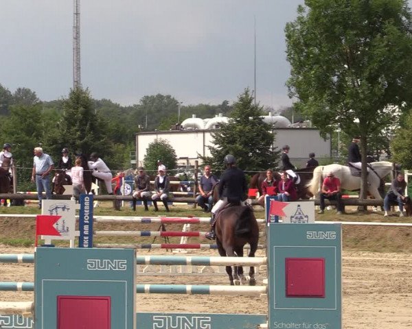 Reitturnier Werne 2021