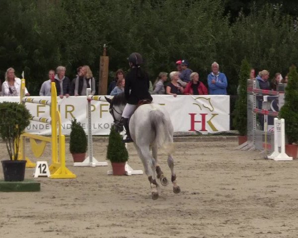 Reitturnier Schnarup-Thumby 2021