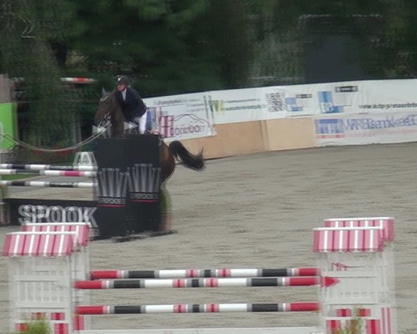 Reitturnier Monheim - Gut Blee 2021