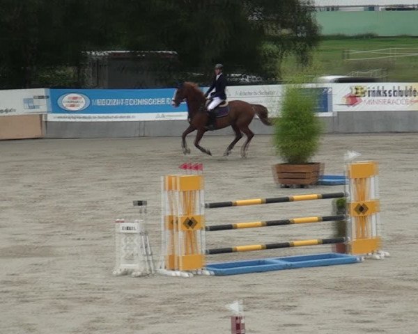 Reitturnier Monheim - Gut Blee 2021