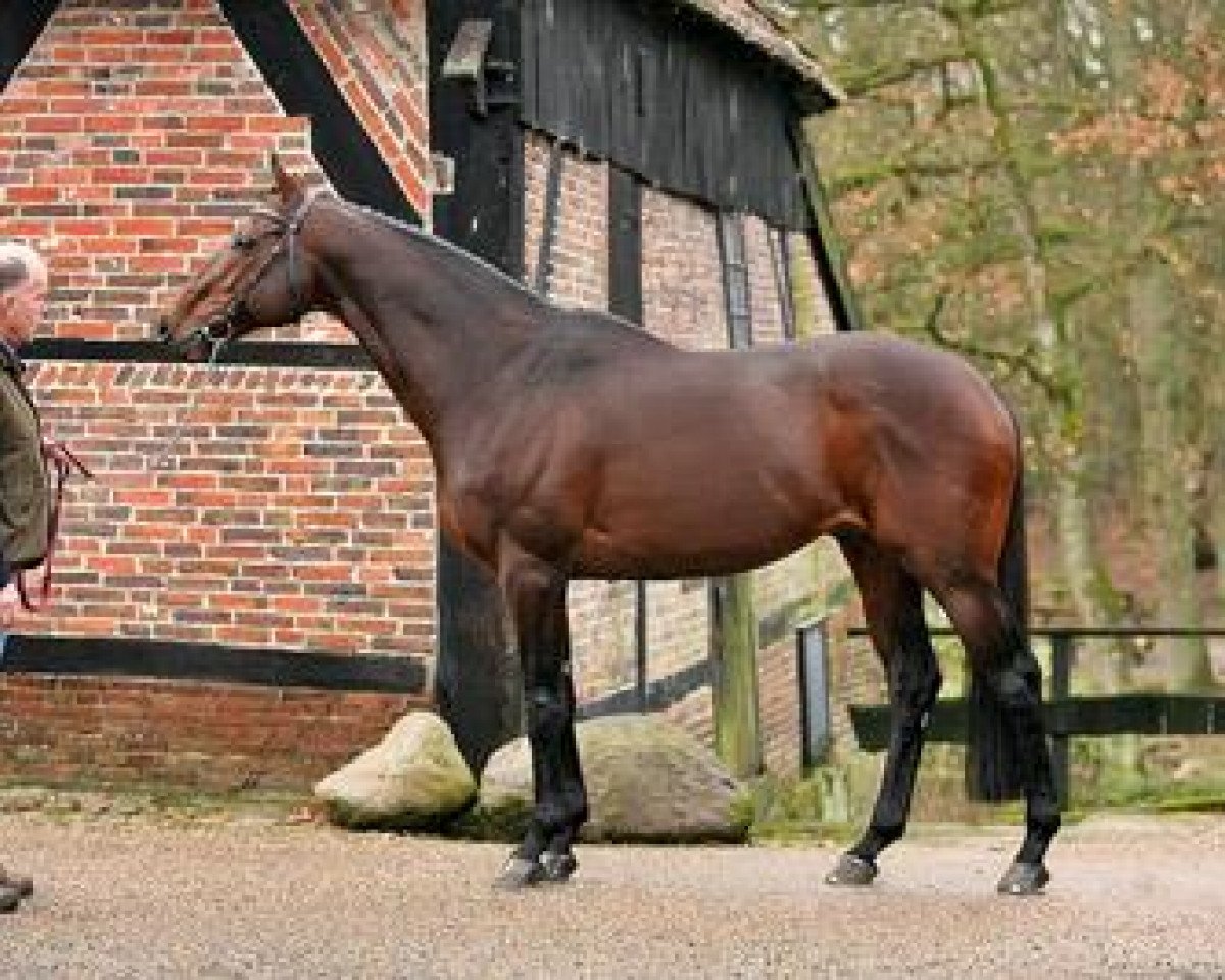 stallion Albaran xx (Thoroughbred, 1993, from Sure Blade XX)
