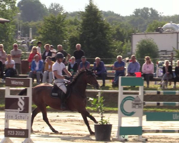 Reitturnier Werne 2021