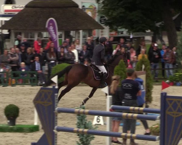 Reitturnier Schnarup-Thumby 2021