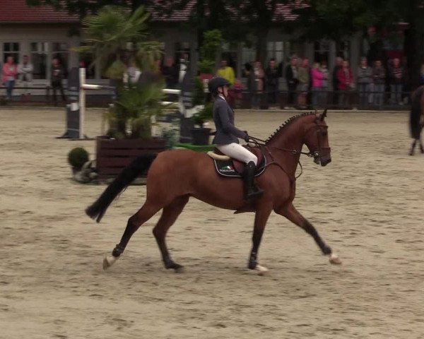 Reitturnier Schnarup-Thumby 2021