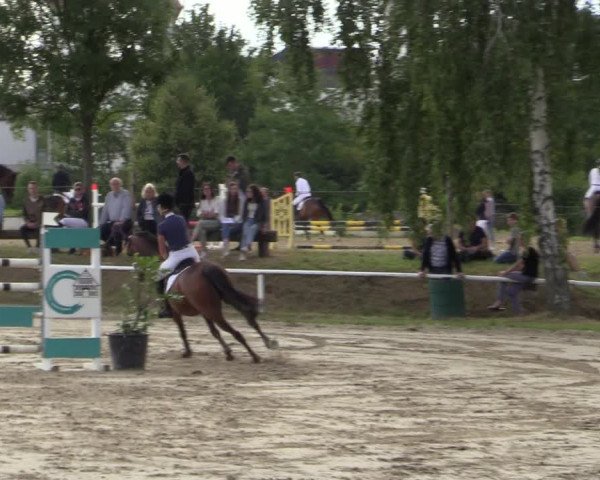 Reitturnier Werne 2021