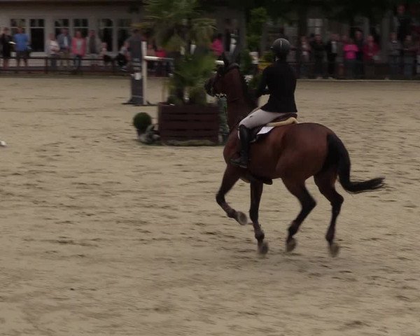 Reitturnier Schnarup-Thumby 2021